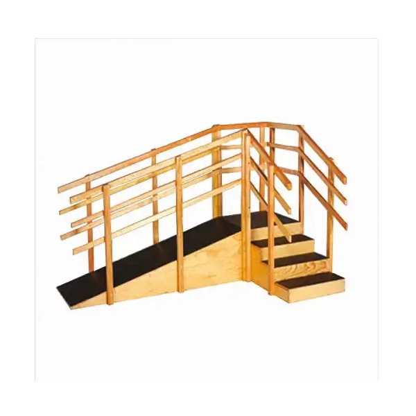 Ramp & Training Stairs