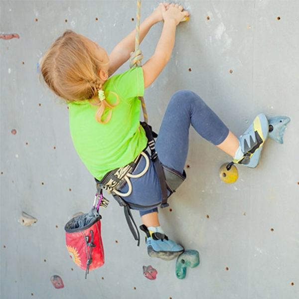 Wall climbers